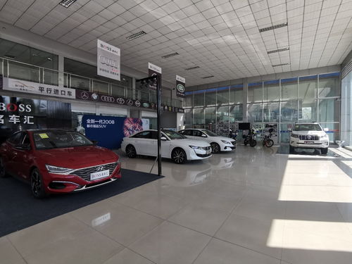 汽车销售精英 专业素养与卓越服务的缔造者